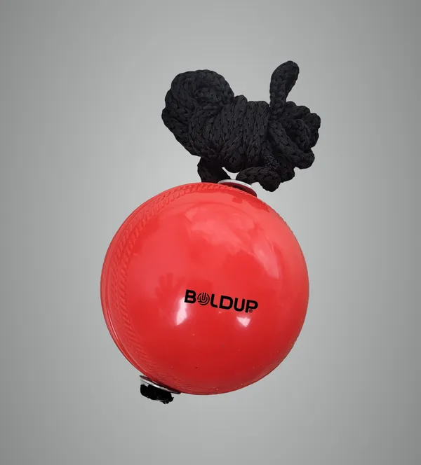 Orange_Rubber_Premium_&_Elegant_Cricket_Hanging_Ball_For_Boys_&_Girls_(_Pack_Of_2_)