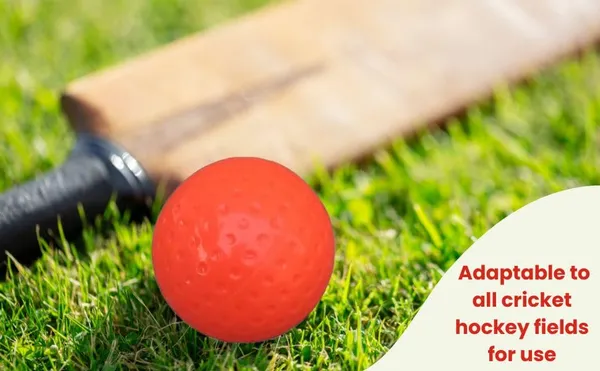 Training_Practice_Ball_Field_Hockey_Cricket_Training_Hockey_Balls_Dimple_Turf_For_Field_Outdoor_Game