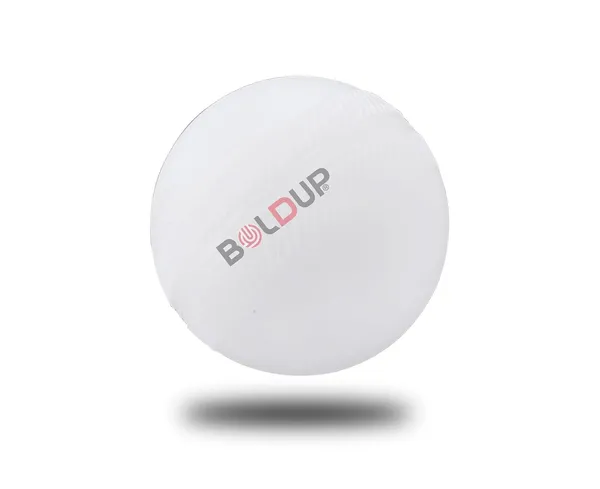 Heavy_Plastic_Cricket_Ball_Training_Practice_Match_Drill_Ball_80_Gram_White_Plastic_Ball_1_Pc