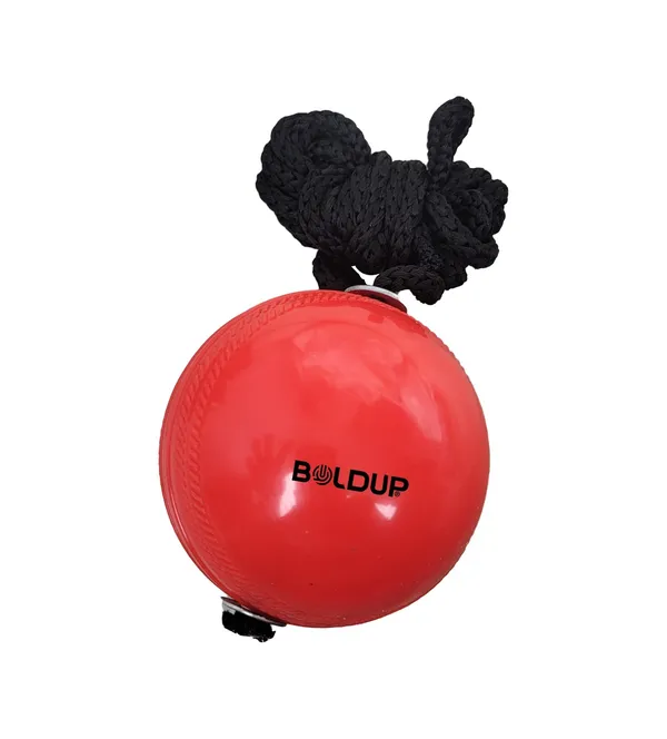 Orange_Rubber_Premium_&_Elegant_Cricket_Hanging_Ball_For_Boys_&_Girls_(_Pack_Of_2_)