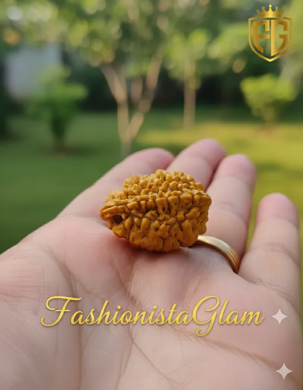 2_Mukhi_Nepali_Rudraksh_�_Authentic_&_Premium_Quality