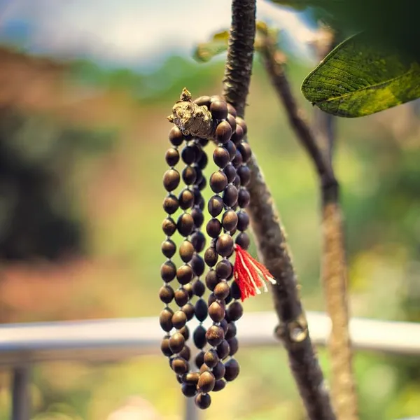 Brown_Natural_Kamal_Gatta_Japa_Mala_|_108_Dry_Lotus_Seed_Beads_For_Men_And_Women_|_Spiritual_Mala_For_Puja,_Jaap,_Meditation,_And_Prayer