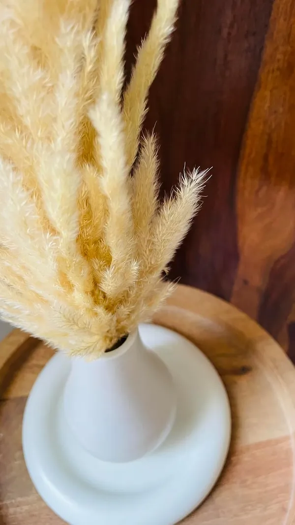 White_Concrete_Morandi_Vase_Combo_Offer_|_Jewellery/Makeup/Table_Organizer_I_Home_Decor_Set_I_(Includes_Mino_Round,_Morandi_Vase,_Naturally_Dried_Pampas_Grass)