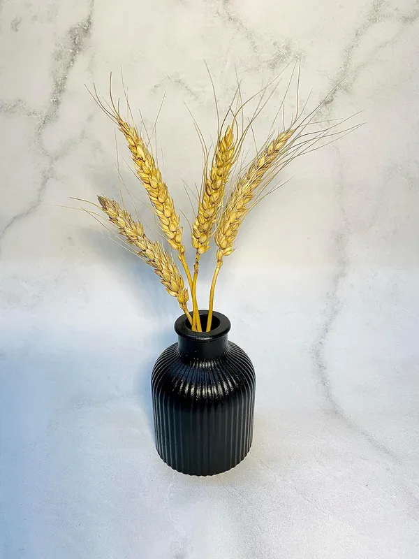 Black_Concrete_Striped_Vase_|_Reed_Diffuser_Vase_|_Flower_Vase_For_Home_Decoration_|_Aesthetic/Minimalist_Home_Decor_Vase_(Jet_Black)_[9.5_X_6.5Cm]