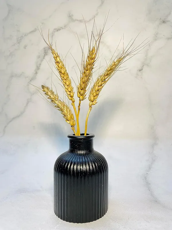 Black_Concrete_Striped_Vase_|_Reed_Diffuser_Vase_|_Flower_Vase_For_Home_Decoration_|_Aesthetic/Minimalist_Home_Decor_Vase_(Jet_Black)_[9.5_X_6.5Cm]