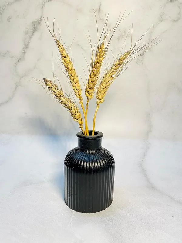 Black_Concrete_Striped_Vase_|_Reed_Diffuser_Vase_|_Flower_Vase_For_Home_Decoration_|_Aesthetic/Minimalist_Home_Decor_Vase_(Jet_Black)_[9.5_X_6.5Cm]