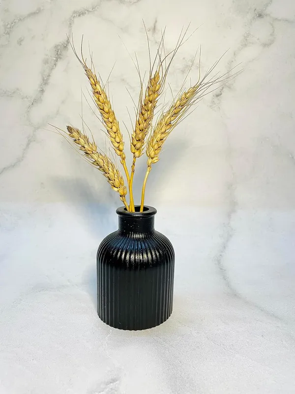 Black_Concrete_Striped_Vase_|_Reed_Diffuser_Vase_|_Flower_Vase_For_Home_Decoration_|_Aesthetic/Minimalist_Home_Decor_Vase_(Jet_Black)_[9.5_X_6.5Cm]