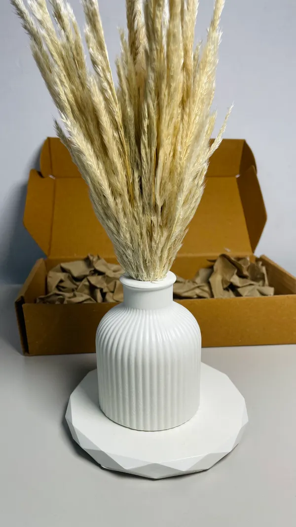 TREETRUNK®_Concrete_Vase_Combo_Offer_5_includes_(_diamond_coaster,_striped_vase,_naturally_dried_pampas_grass)