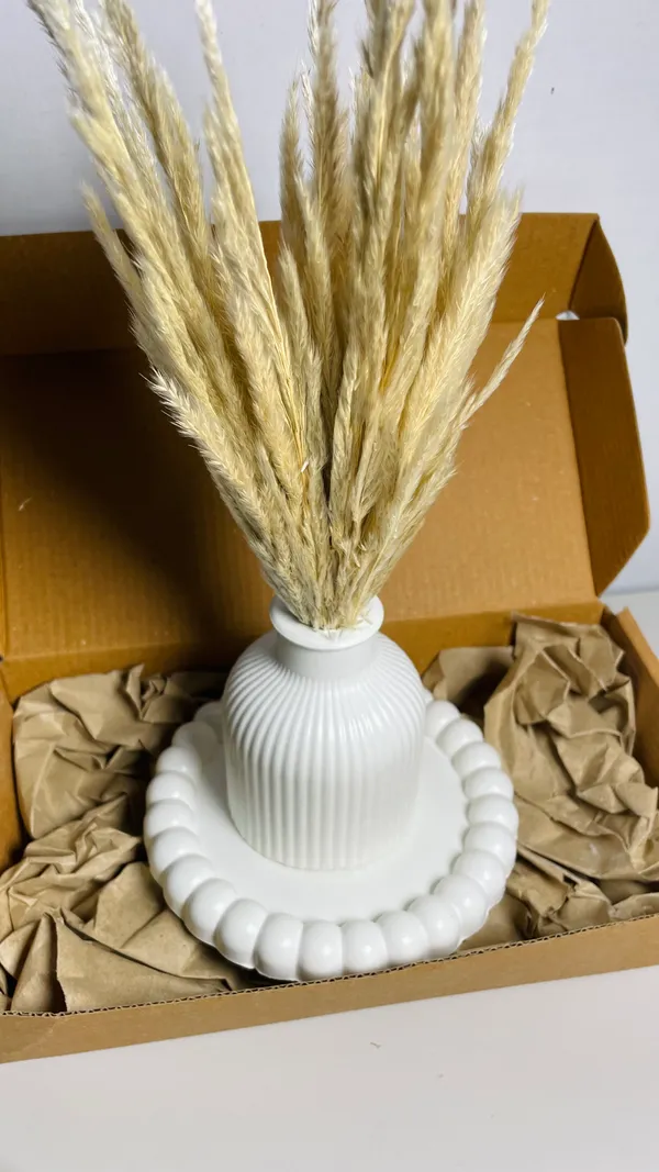 TREETRUNK®_Concrete_Vase_Combo_Offer_2_includes(_small_bubble_tray,_striped_vase,_naturally_dried_pampas_grass)