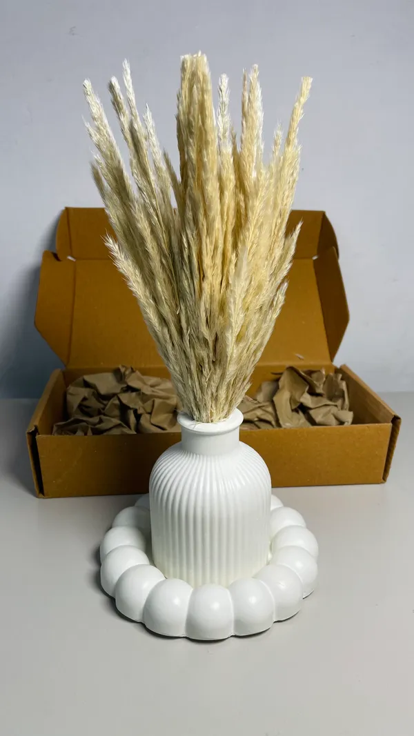 TREETRUNK®_Concrete_Vase_Combo_Offer_3_includes_(big_bubble_tray,_striped_vase,_naturally_dried_pampas_grass)