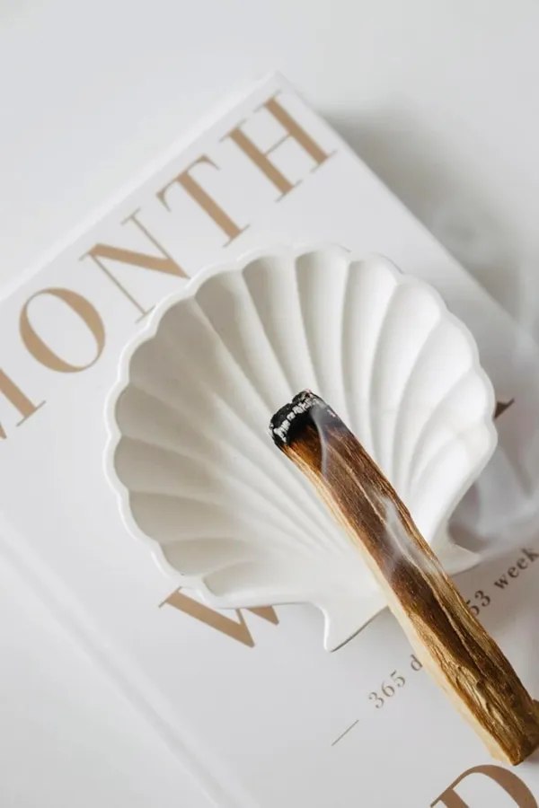 White_Handmade_Concrete_Shell_Trinket_Tray_|_Jewellery/Makeup/Table_Organizer_|_Home_Decor_|_Candle_Tray_|_Multipurpose_(9.5×9.5Cm)