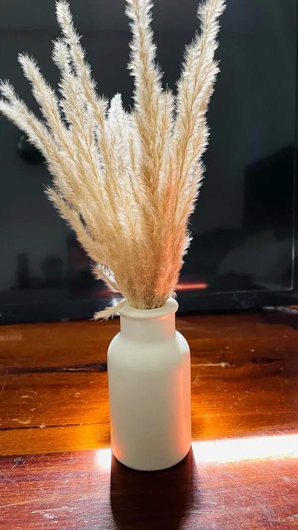 White_Cylindrical_Vase_|_Reed_Diffuser_|_Flower_Vase_For_Home_Decoration_|_Aesthetic/Minimalist_Home_Decor_(9X6X3.5)