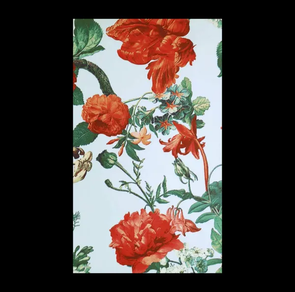 Vibrant_Peony_Floral_Wallpaper_In_Powder_Blue_And_Red_For_A_Fresh_Romantic_Statement_Wall