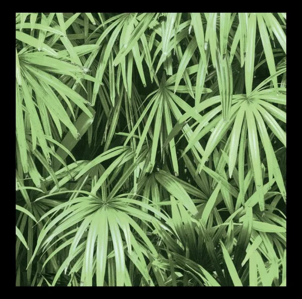 Lush_Tropical_Fan_Palm_Wallpaper_In_Radiant_Green_For_A_Breathtaking_Biophilic_Bedroom
