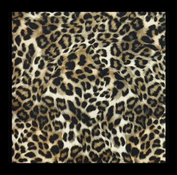 Exotic_Leopard_Print_Wallpaper_In_Sahara_Tan