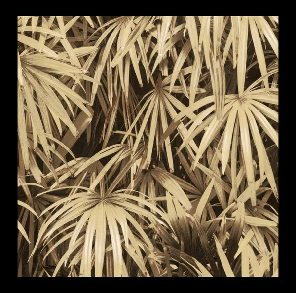 Lush_Tropical_Fan_Palm_Wallpaper_In_Antique_Gold_For_A_Sophisticated_Biophilic_Bedroom