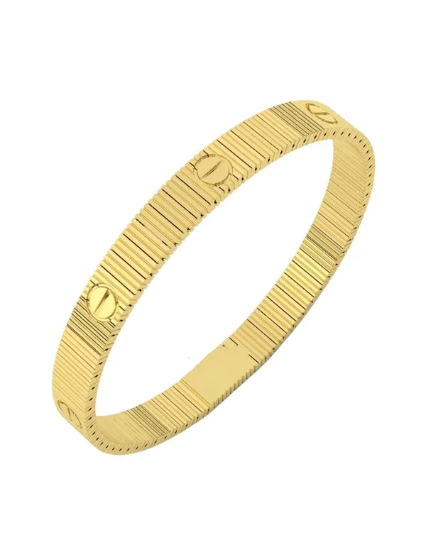 CLEO_BE_BOLD_BE_YOUBangle_Gold_Metal_for_Women_Fashion_Adult_M_8_grams_Alloy_Steel_28_centimeters_(No_Stone)
