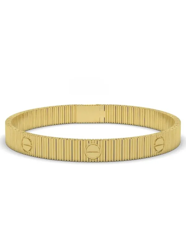 CLEO_BE_BOLD_BE_YOUBangle_Gold_Metal_for_Women_Fashion_Adult_M_8_grams_Alloy_Steel_28_centimeters_(No_Stone)