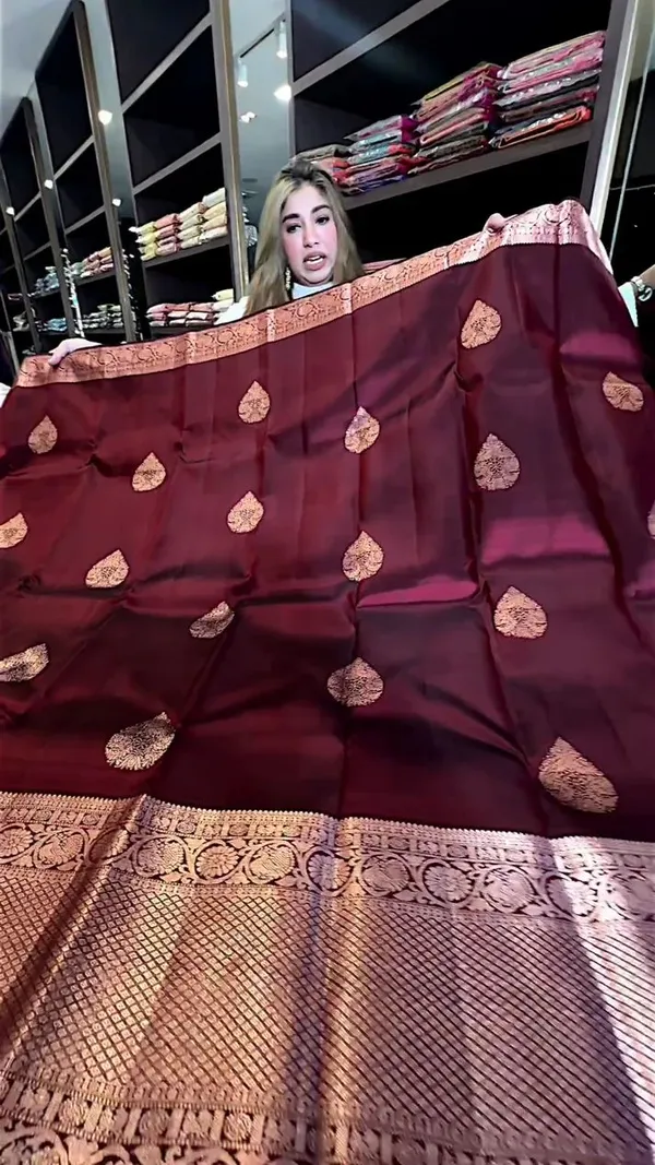 Multicolor_Banarasi_Soft_Silk_Saree