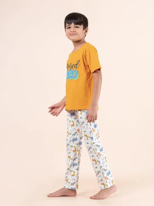 Multicolor_Cotton_Premium_&_Elegant_Regular_Fit_Night_Suit_For_Boys