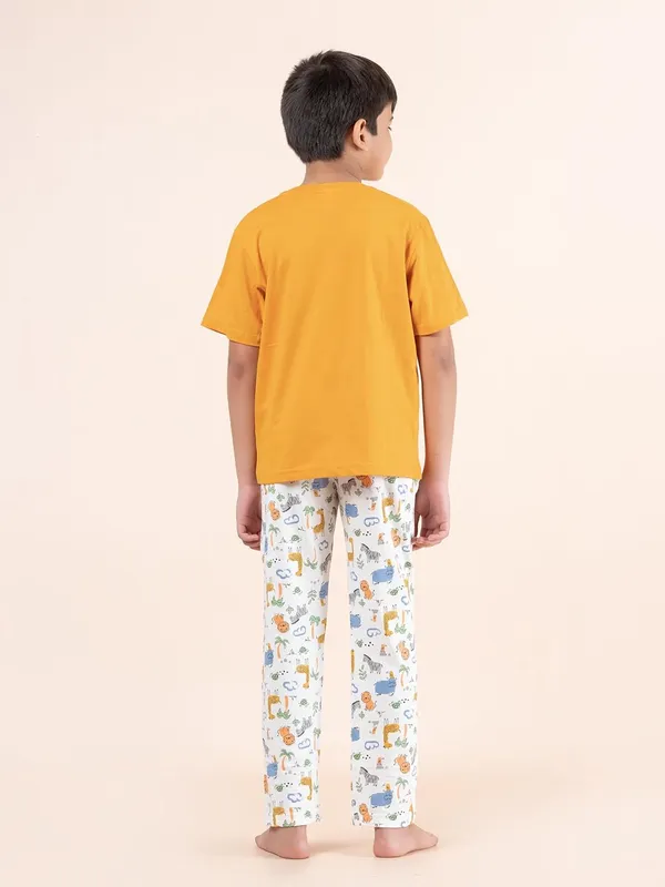 Multicolor_Cotton_Premium_&_Elegant_Regular_Fit_Night_Suit_For_Boys