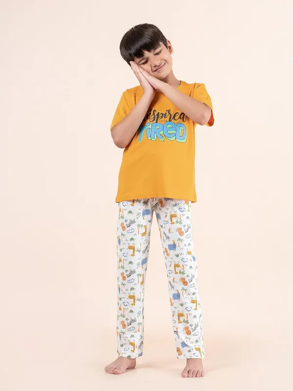 Multicolor_Cotton_Premium_&_Elegant_Regular_Fit_Night_Suit_For_Boys