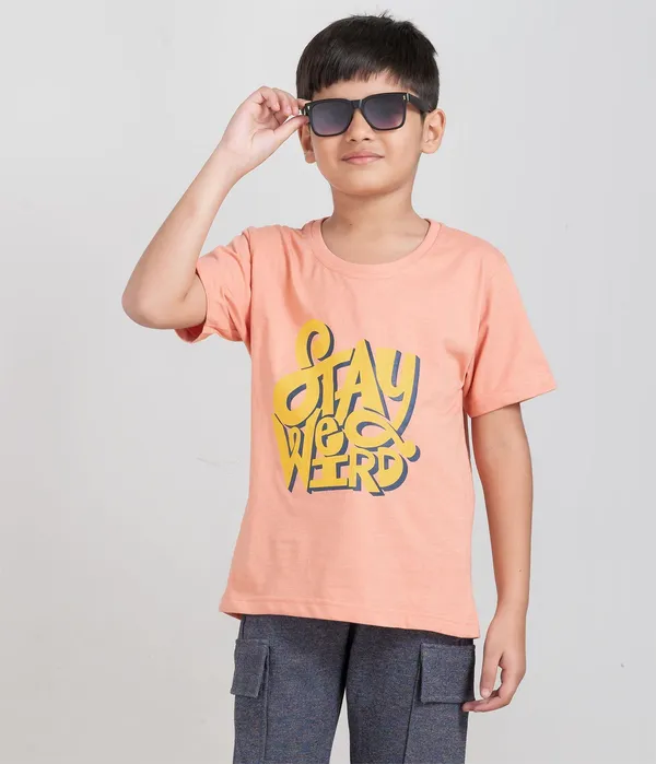 Sky_Blue_&_Pink_Cotton_Premium_&_Elegant_Regular_Fit_T-Shirt_For_Boys_(Pack_Of_2)