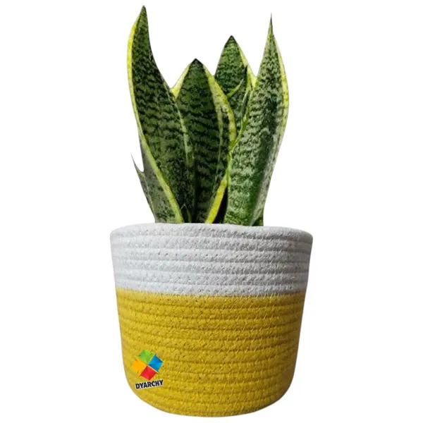 White_Yellow_Two-Tone_Ceramic_Plant_Pot,_20_Cm_X_20_Cm,_Modern_Textured_Design_For_Indoor_Plants