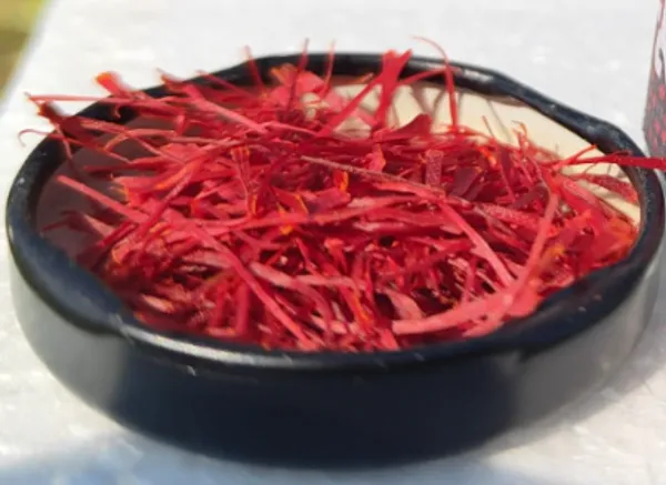 Luxury_Kesar_|_Pure_Saffron_for_Beauty_&_Wellness