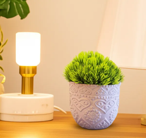 Peach_Ceramic_Premium_&_Elegant_Peach_Bliss_Ceramic_Flower_Pot
