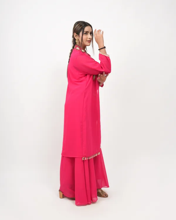 Rani_Trendy_Design_Designer_Co-Ord_Set_For_Women
