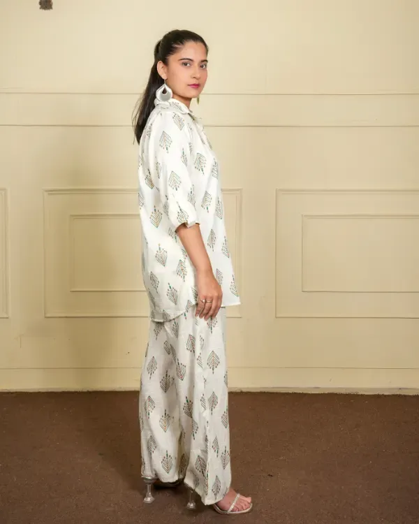 Multicolor_Printed_Co-Ord_Set_(Shirt_+_Pants)_For_Women