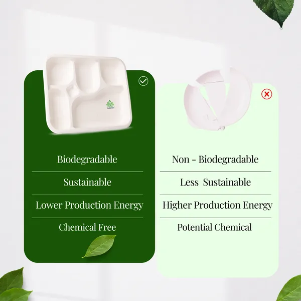 Pack_Of_25_Pieces_White_Sugarcane_Bagasse_5_Compartment_Meal_Trays_Plates
