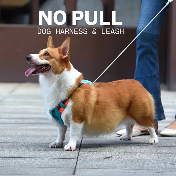 Multicolor_2_In_1_Dog_Harness_Leash_No_Pull_Long_Lasting_Build
