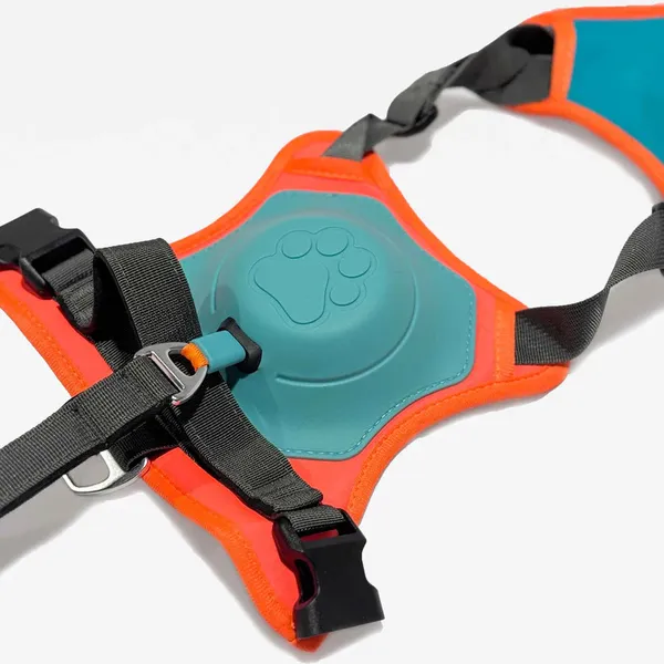 Multicolor_2_In_1_Dog_Harness_Leash_No_Pull_Long_Lasting_Build