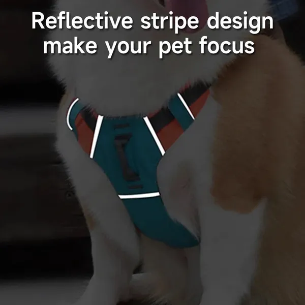 Multicolor_2_In_1_Dog_Harness_Leash_No_Pull_Long_Lasting_Build