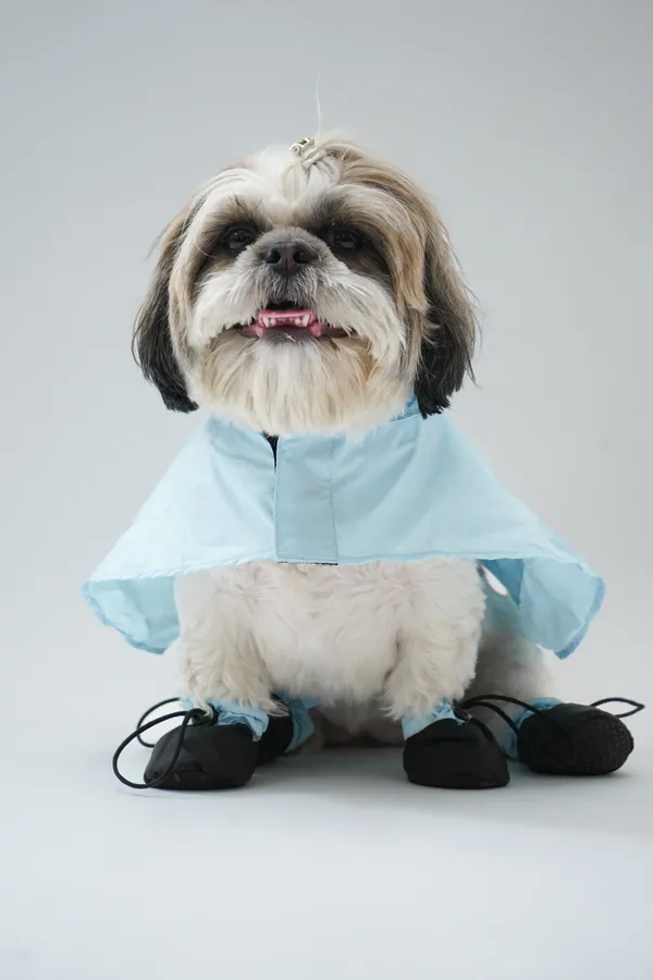 Blue_Bunny_Eazy_Breazy_Raincoat