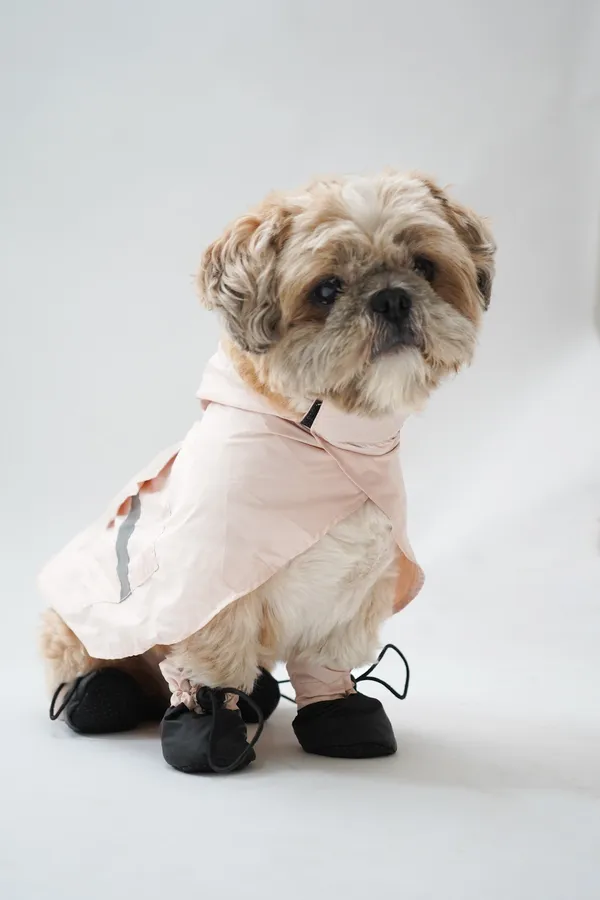 Pink_Bunny_Eazy_Breazy_Raincoat
