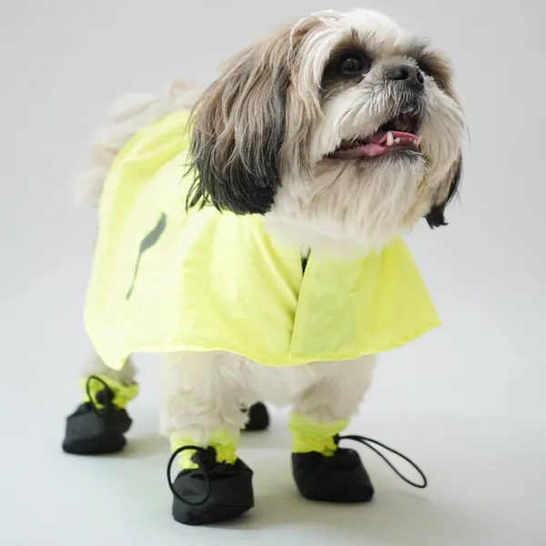 Yellow_Bunny_Eazy_Breazy_Raincoat