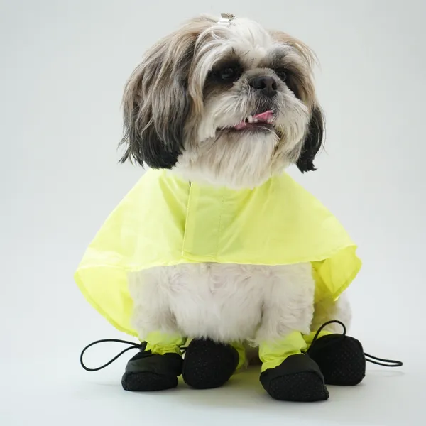Yellow_Bunny_Eazy_Breazy_Raincoat