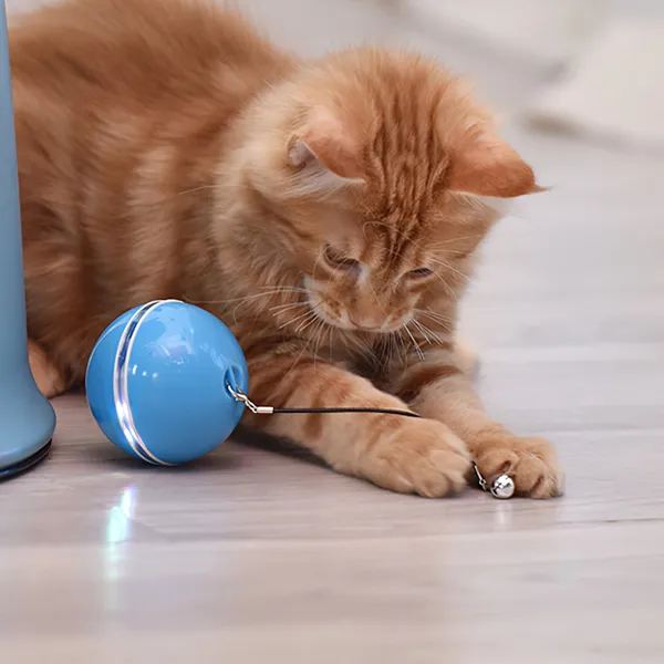 Multicolor_Cat_Electric_Roller_Ball_With_Led_Lighting_Usb_Charger
