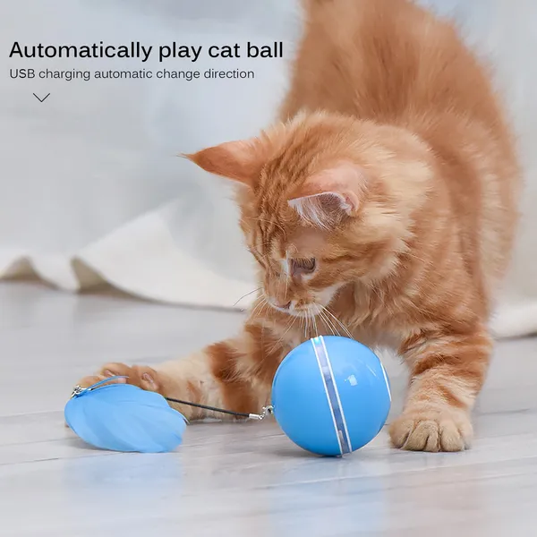 Multicolor_Cat_Electric_Roller_Ball_With_Led_Lighting_Usb_Charger