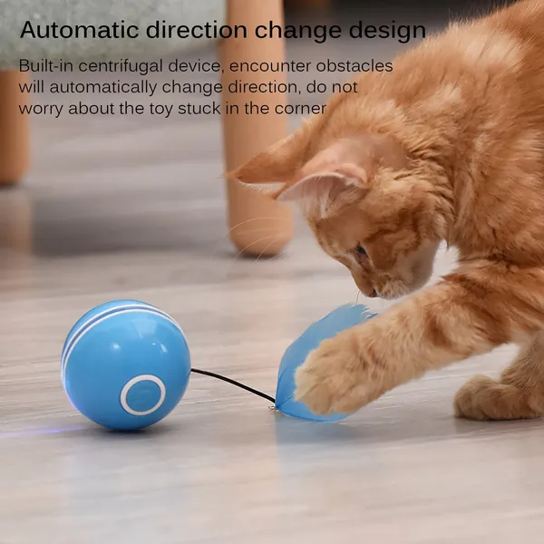 Multicolor_Cat_Electric_Roller_Ball_With_Led_Lighting_Usb_Charger
