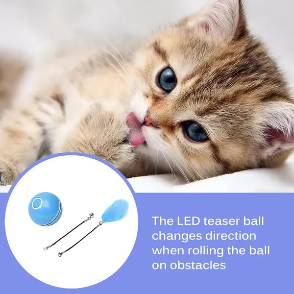 Multicolor_Cat_Electric_Roller_Ball_With_Led_Lighting_Usb_Charger