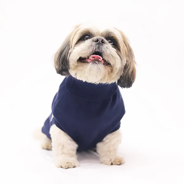 Blue_Stripes_Cozy_Stylish_Blue_Dog_Sweater_With_Multi_Color_Stripes