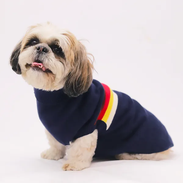 Blue_Stripes_Cozy_Stylish_Blue_Dog_Sweater_With_Multi_Color_Stripes