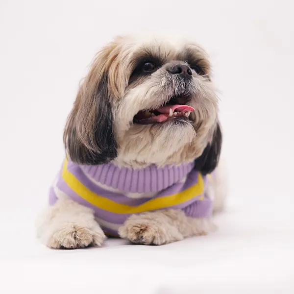 Elegant_Purple_Stripes_Cozy_Stylish_Dog_Sweater
