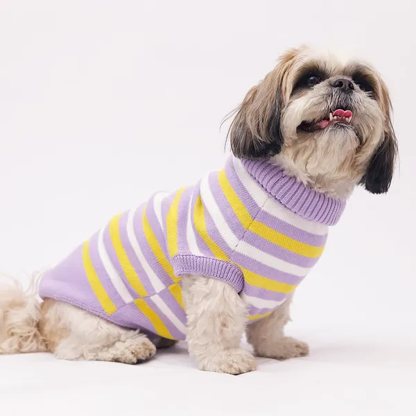 Elegant_Purple_Stripes_Cozy_Stylish_Dog_Sweater