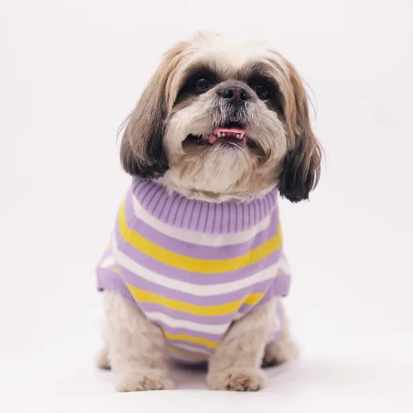Elegant_Purple_Stripes_Cozy_Stylish_Dog_Sweater