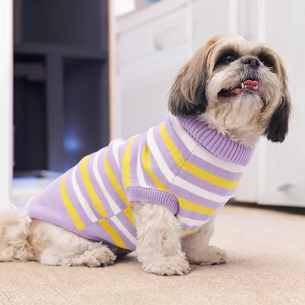 Elegant_Purple_Stripes_Cozy_Stylish_Dog_Sweater